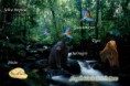 /album/fotogaleria/selva-tropical-jpg/